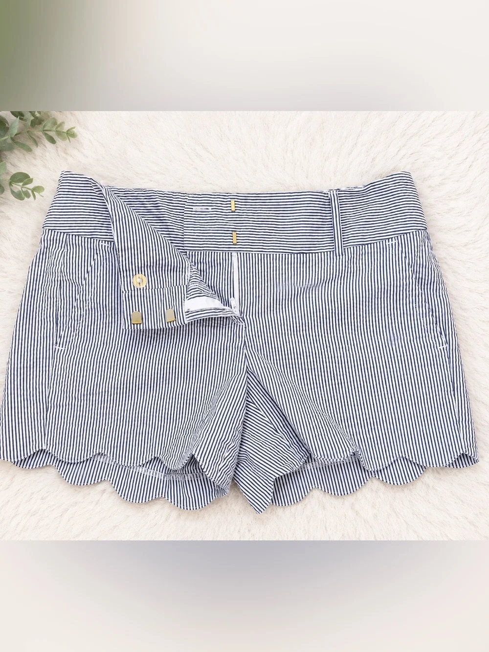 Ann Taylor Blue & White Pinstripe Shorts